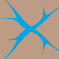 Favicon Muster